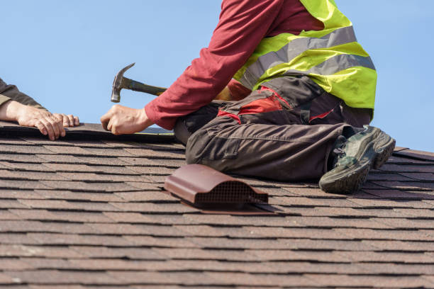 Best Residential Roofing Contractor  in Allegan, MI
