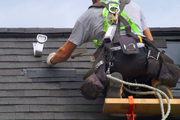 Best Residential Roofing Contractor  in Allegan, MI