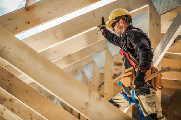 Best Roof Gutter Cleaning  in Allegan, MI