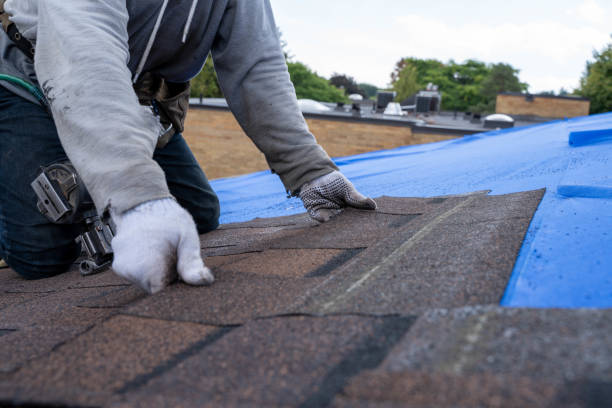 Best Storm Damage Roof Repair  in Allegan, MI