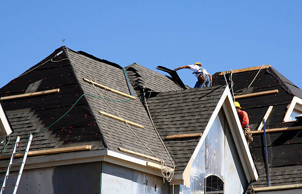 Best Roof Repair Services  in Allegan, MI