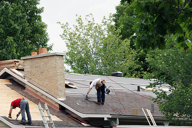Best Gutter Installation and Roofing  in Allegan, MI