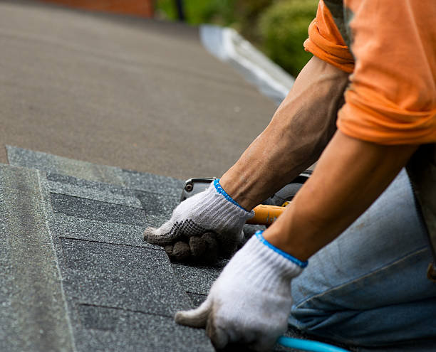 Best Commercial Roofing Services  in Allegan, MI
