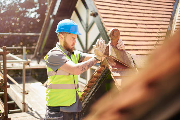 Best Residential Roofing Contractor  in Allegan, MI