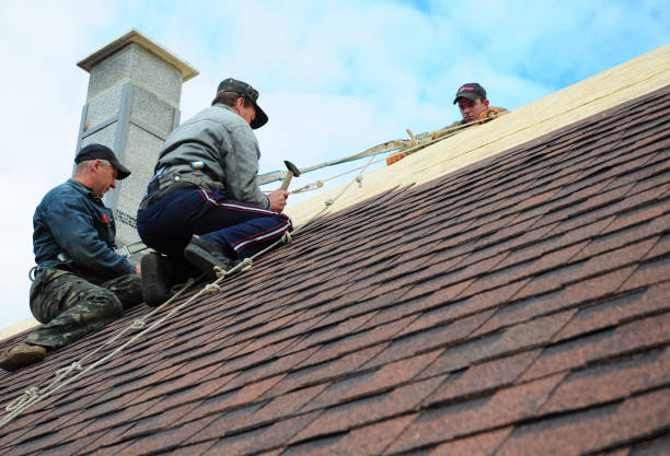 Best Emergency Roof Repair  in Allegan, MI