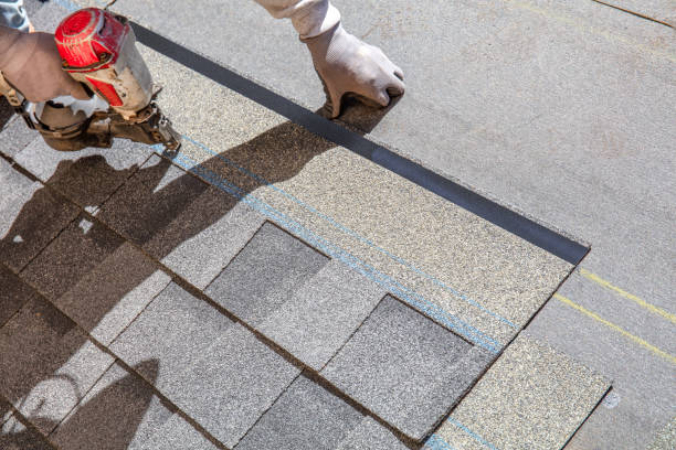 Best Local Roofing Companies  in Allegan, MI