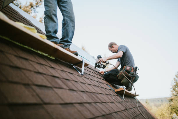 Best Storm Damage Roof Repair  in Allegan, MI