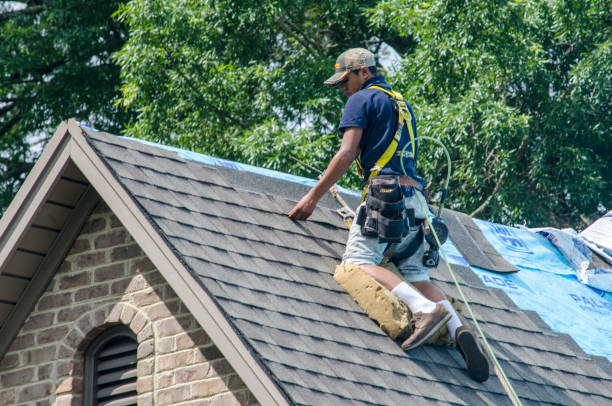 Quick and Trustworthy Emergency Roof Repair Services in Allegan, MI