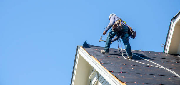 Roof Waterproofing Services in Allegan, MI